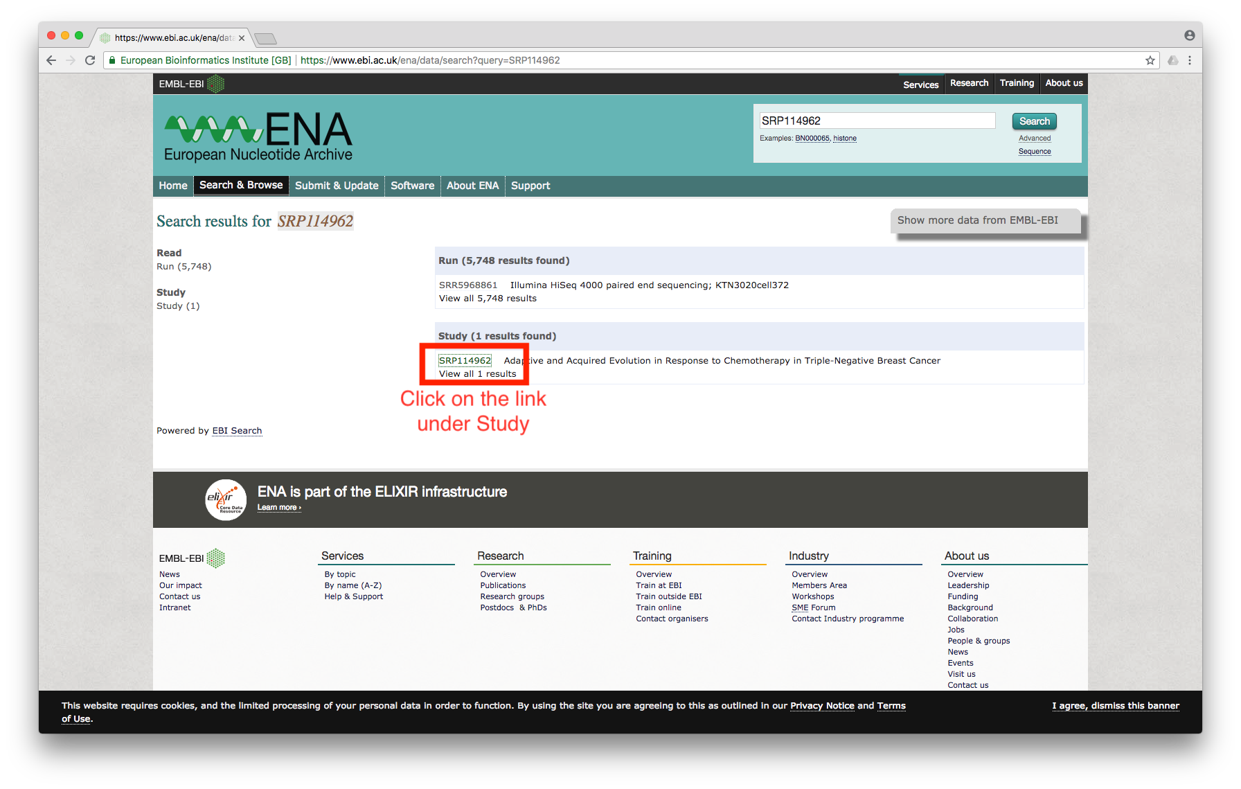 ena-search-result